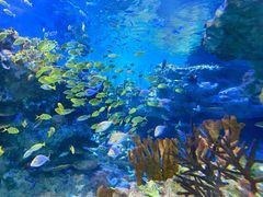 -海合安成都极地海洋公园