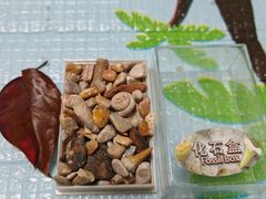 -陕西自然博物馆