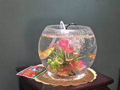 -深蓝盲人推拿·颈肩腰腿疼痛·艾灸调理(清河店)