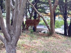 -大堂吧·下午茶·特调鸡尾酒(大连一方城堡豪华精选酒店)