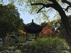 -上海醉白池公园