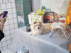 -BABIT巴比特宠物(MOMOPARK店)