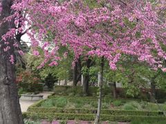 -丽池公园