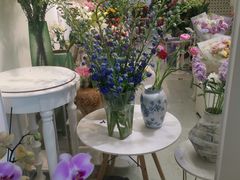 -溪岸路花鸟市场