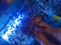 -汤连得温泉馆(宝山店)