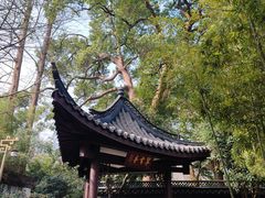 -杭州黄龙洞