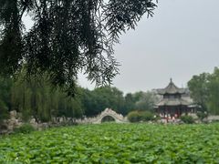 -莲池书院博物馆