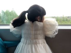 -龙阳路磁悬浮列车总站-停车场