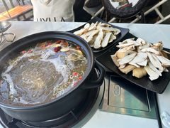-蘑统田下·野生菌火锅