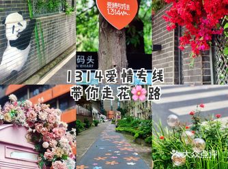 成都街头｜带你走1314米的浪漫花路