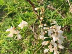 -沈阳辉山风景区