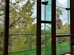 -逸廊大堂吧-下午茶·简餐-千岛湖自由洲际殿
