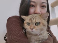 -Heymao猫咖.咖啡厅(东门店)