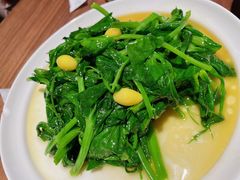 银杏高山豌豆尖-眉州东坡(大悦城店)