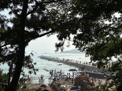 -八大关景区