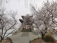 -颐和园