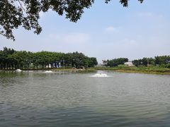 -烟桥私房菜馆(奋哥)