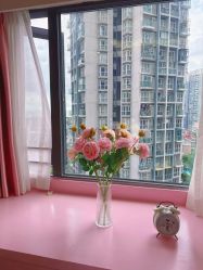 -哈颜科技轻美·