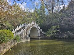 -深圳仙湖植物园