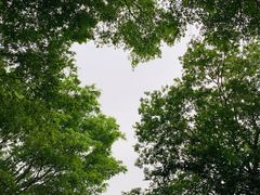 -南国桃园旅游度假区