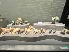 -广西壮族自治区博物馆