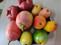 -港华水果街(港华广场店)