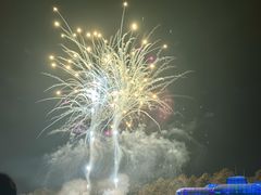 -大塘金香草谷