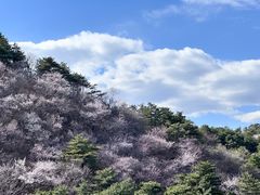 -龙泉峪长城