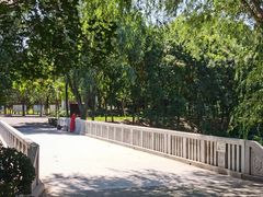 -大兴滨河森林公园