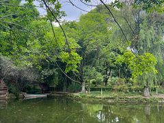 -望江楼公园