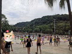 -重庆海昌加勒比海水世界