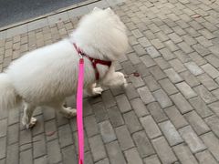 -南翔镇银翔湖公园