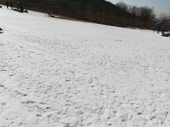 -青州驼山滑雪场
