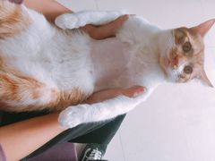 -美联众合动物医院·24h转诊中心