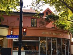 -WHEN PIGS FLY当猪飞