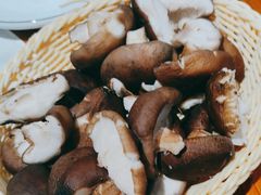 -桃源村铁锅炖鱼(体育馆道店)