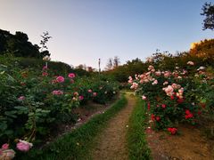 -人民公园(罗湖区)