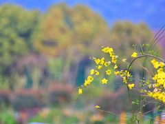 -黄陂区野村谷景区