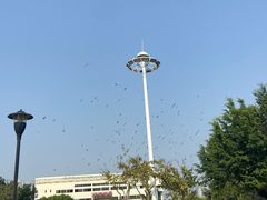 -白鹭洲公园