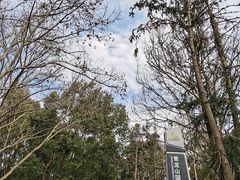 -青龙山国家森林公园