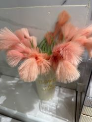 -康美贞·痘肌养护管理中心