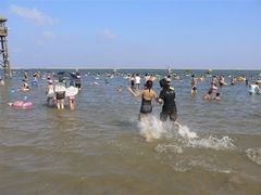 -碧海金沙