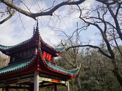 -岳麓山风景名胜区