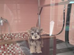 -FAELING PETS美天灵宠物(合生汇店)