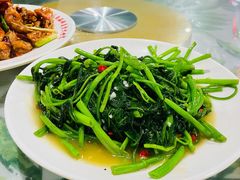 -四姑娘川味海鲜(八爪鱼店)