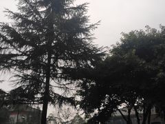 -四川大学(华西校区)