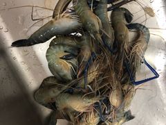 罗氏虾每斤-王四营海鲜市场