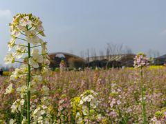 -中国天府农业博览园