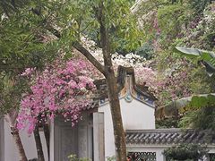 -深圳国际园林花卉博览园