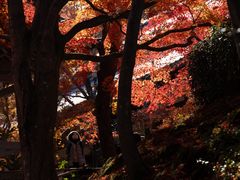 -常寂光寺